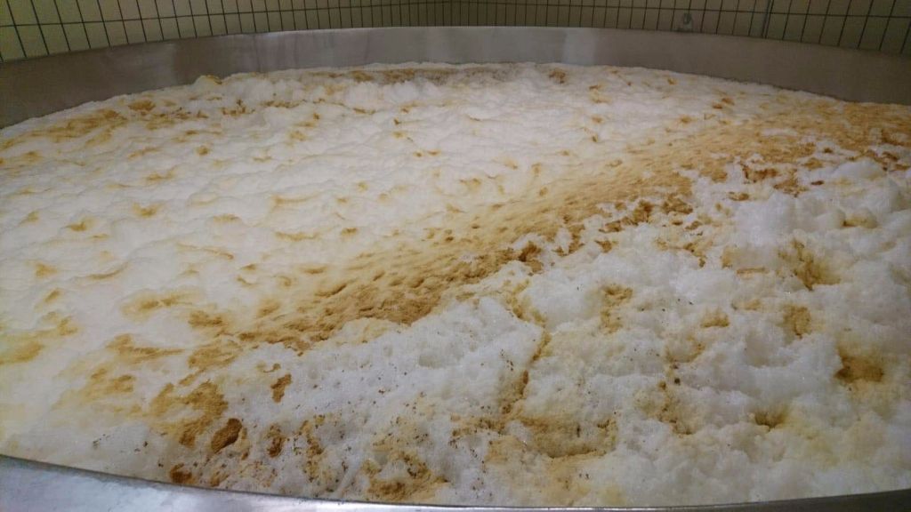 啤酒不添加酵母 自發(fā)發(fā)酵