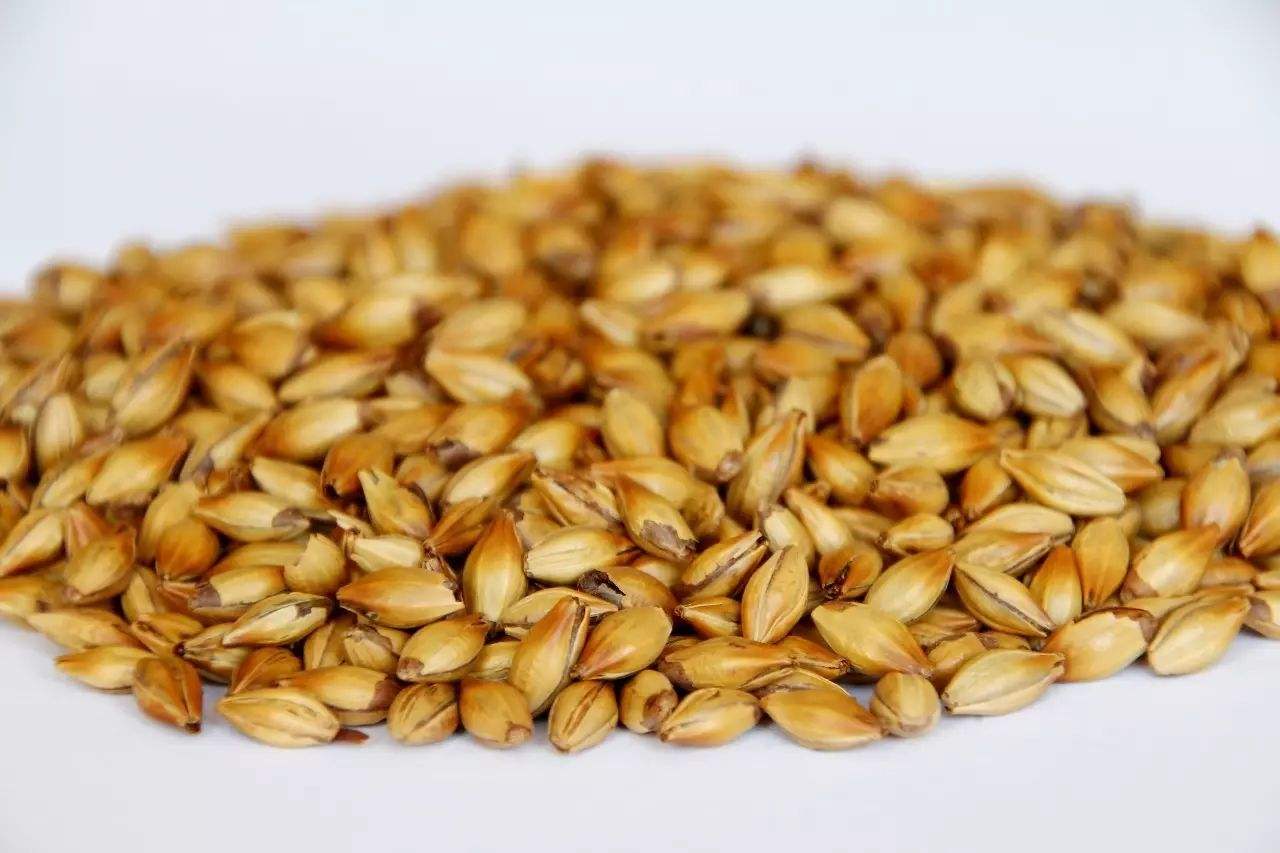 做精釀啤酒，如何選擇合適的粉碎機(jī)？