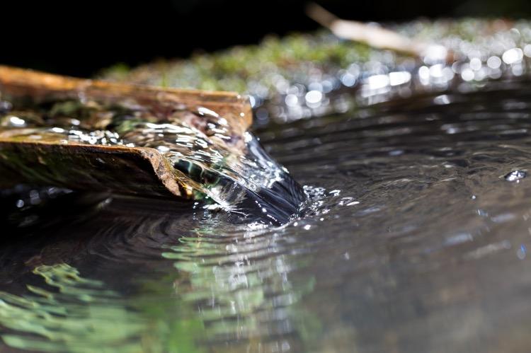 做精釀啤酒，如何處理釀造用水？
