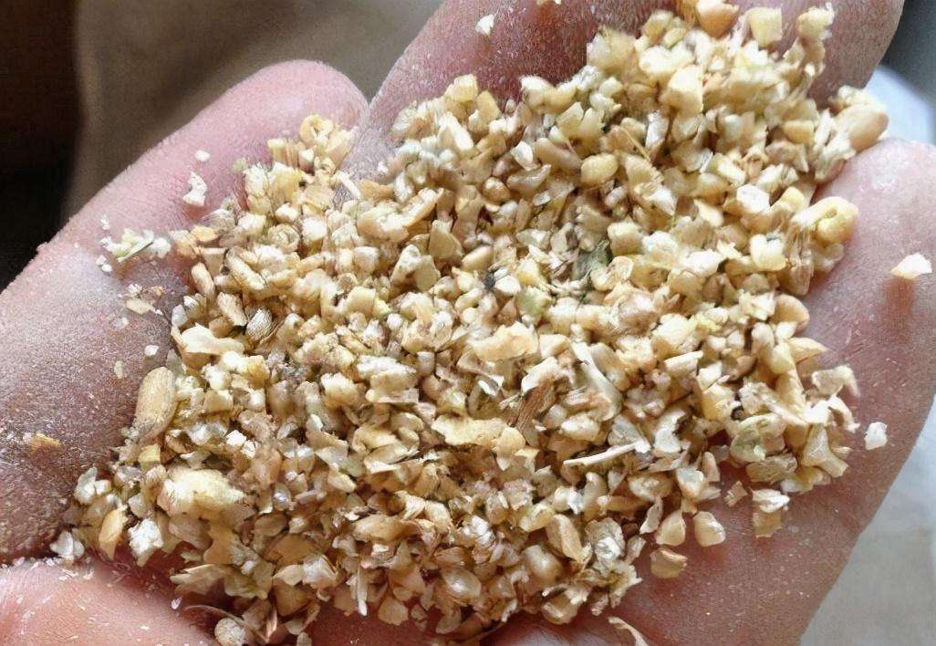 做精釀啤酒，如何更好地進行麥芽粉碎呢？